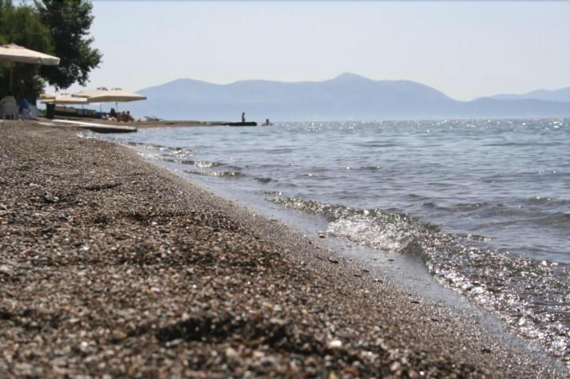 Posidonia Pension Amarynthos Luaran gambar