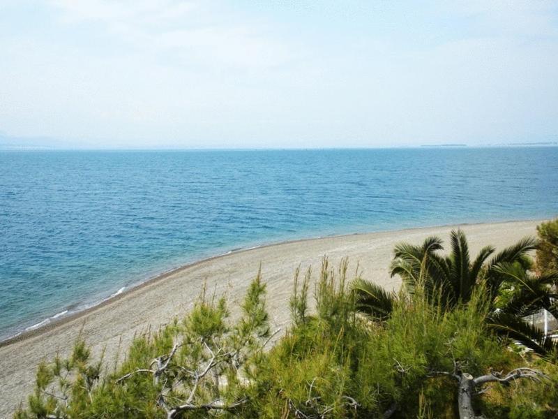 Posidonia Pension Amarynthos Luaran gambar
